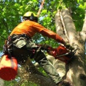 S & S Property Maintenance