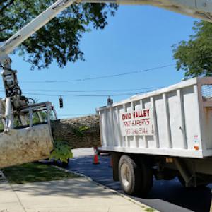 Ohio Valley Tree Experts