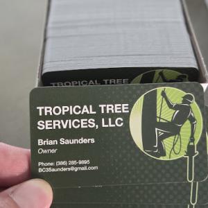 Tropical Tree Services