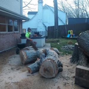 Tree Service Decatur