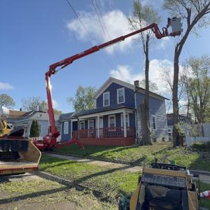 Apolo maintenance & tree service