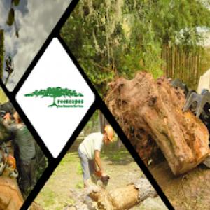 Treescapes Tree Removal Service