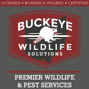 Buckeye Wildlife Solutions