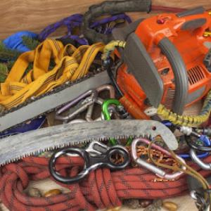 Powell Tree Service
