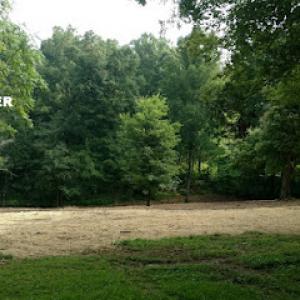 Freedom Land Management