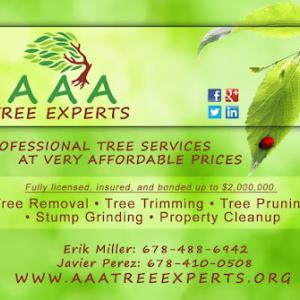 AAA Tree Experts