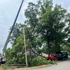 Nature Tree Service
