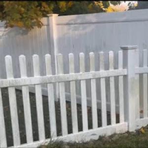 Jersey Tree Services