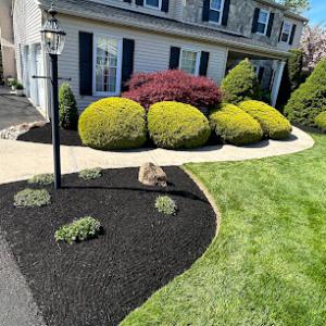 S&P Tree Care & Landscape