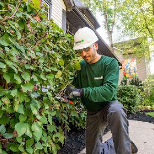 The Davey Tree Expert Company