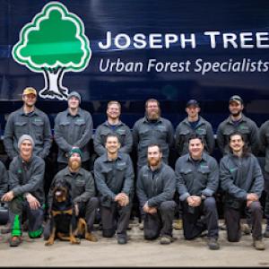 Joseph Tree Service