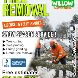 Willow Fast Tree Service