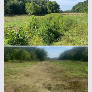 Slick Banks Land Management