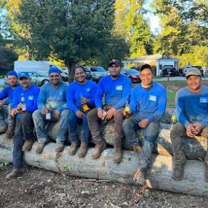 Aguilar Tree Service