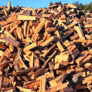 Timberwolf Tree Service