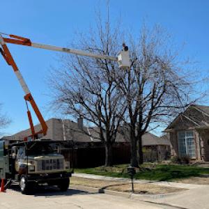 Stout Tree Service