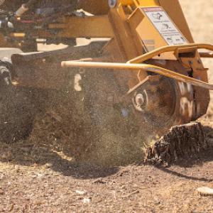 Stump Removal OK