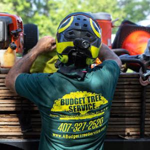 A Budget Tree Service