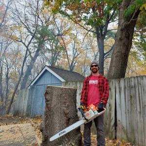 Eggert's Tree Service