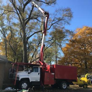 Eliseo's Tree Service