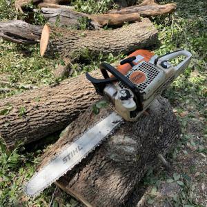 A&M Tree Trimming