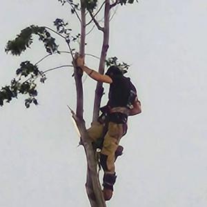 Lawn Solo Landscaping