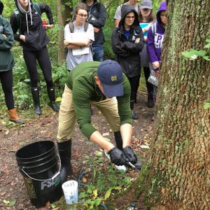 MKS Arborist Services