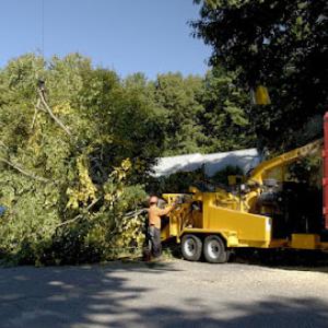 Winter Garden Tree Service