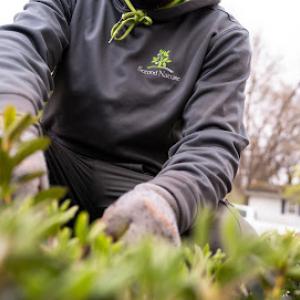 Second Nature Landscape Management