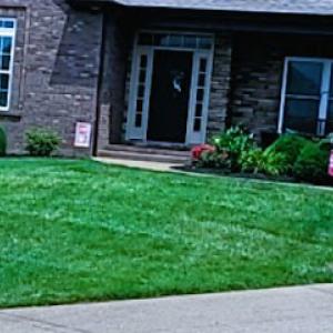 Newburgh Lawn & Landscape