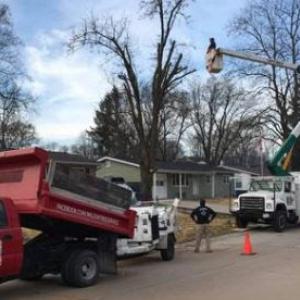 Wilson Outdoor Services