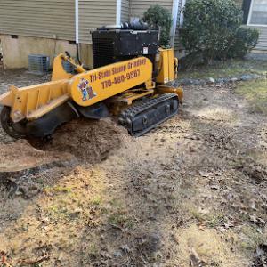 Tri-State Stump Grinding