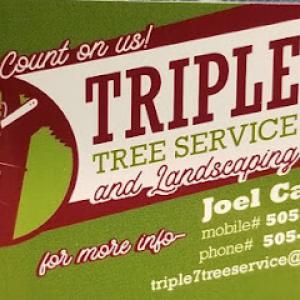 Triple 7 tree service