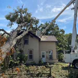 Down Rite Tree Service