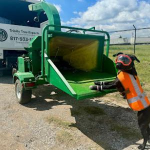 Trinity Tree Expert Company