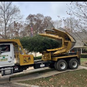 Tree Movers