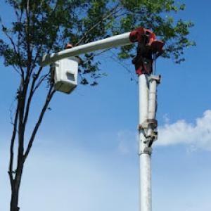 Timber Pros Tree Service