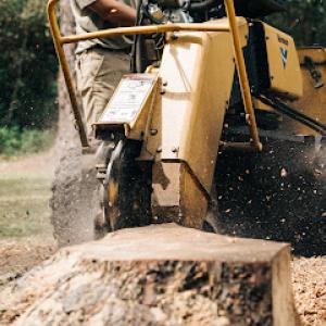 Cornerstone Stump Grinding