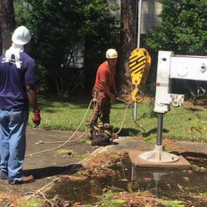 Hamilton Tree Service