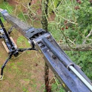 Dirty Dawgz Tree Service