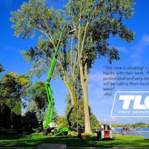 TLC Tree Service