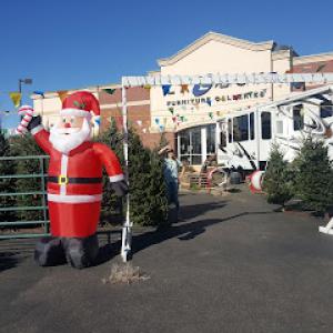 AJ's Christmas Trees