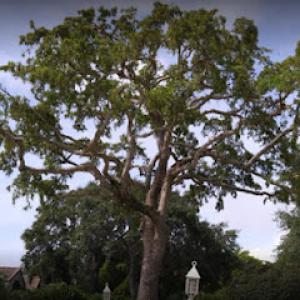 EBM Property Maintenance