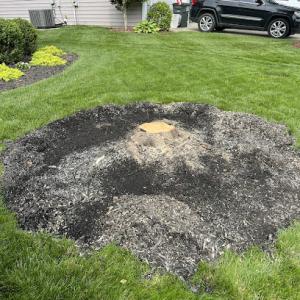 Stump Stompers Stump Grinding