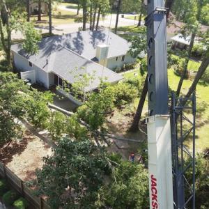 Budget Tree Service PSL