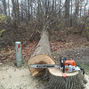 Mitchell Tree Company