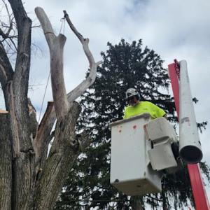 Top Notch Outdoor Services
