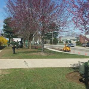 Butler & Sons Tree Service