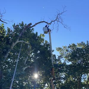 JR Landscaping Services