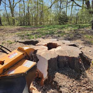 Racine Stump Grinding